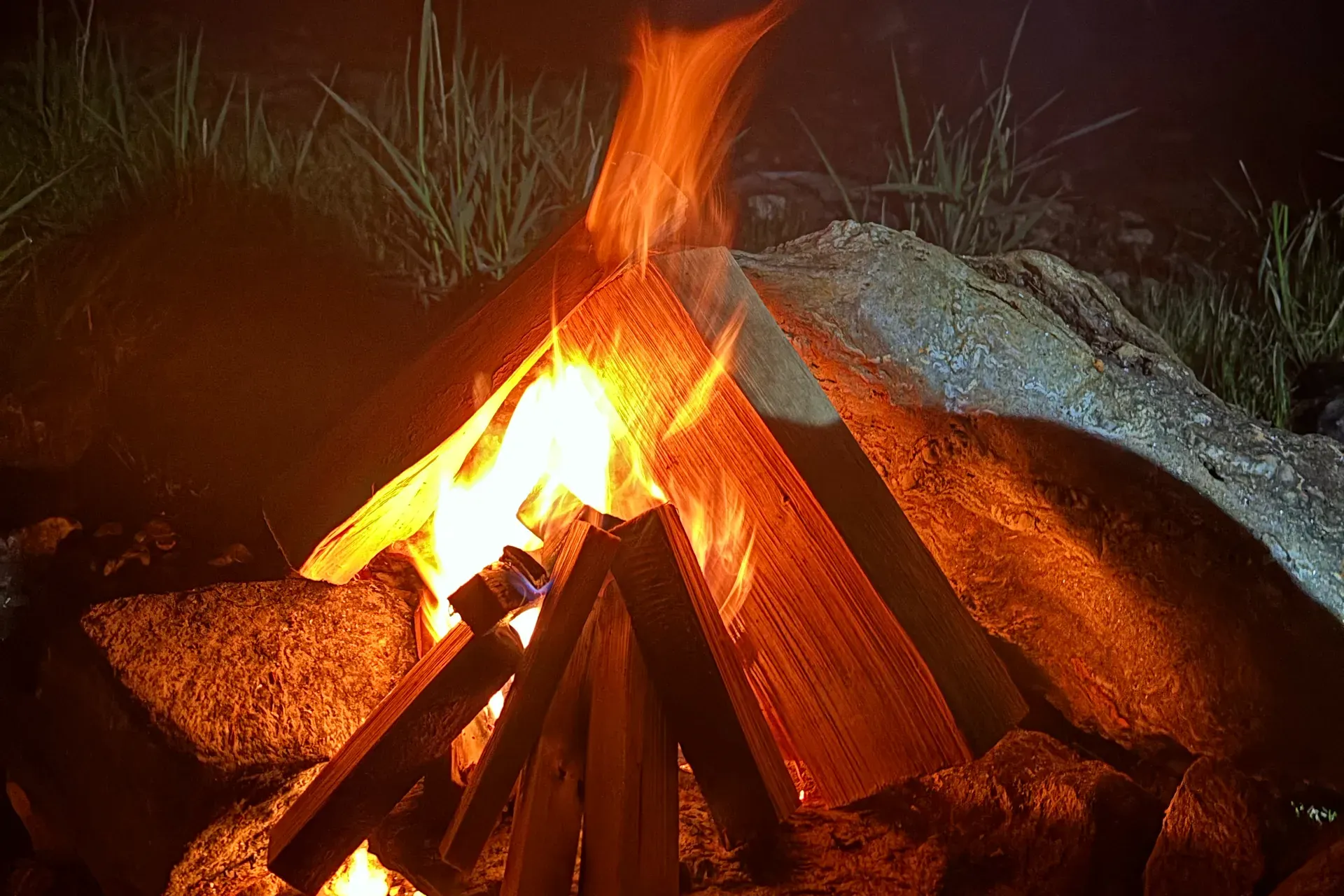 A campfire of stacked logs burns against a large rock at night, with tall grass behind it.